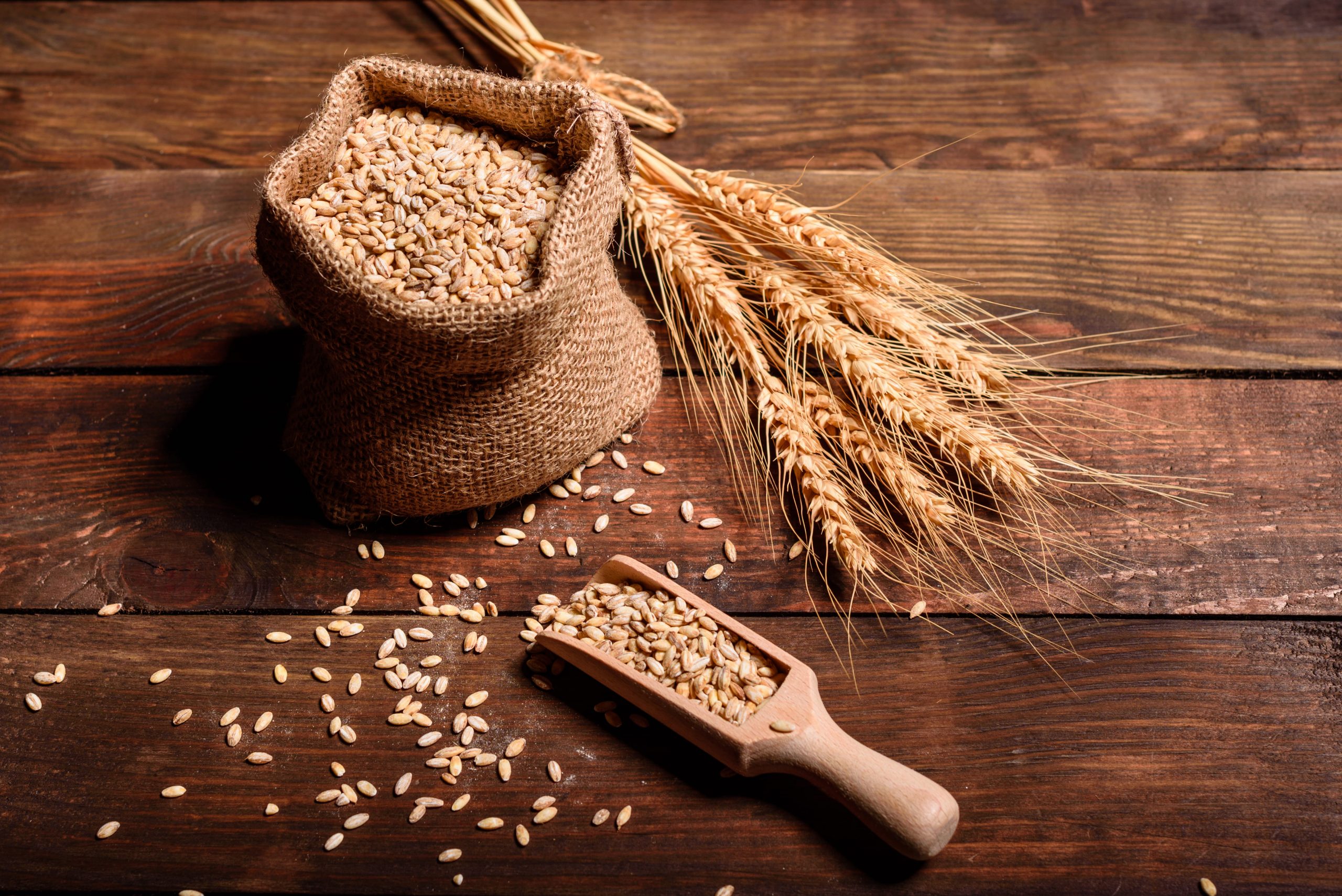 saco de granos de trigo junto a una cuchara de madera y dos espigas