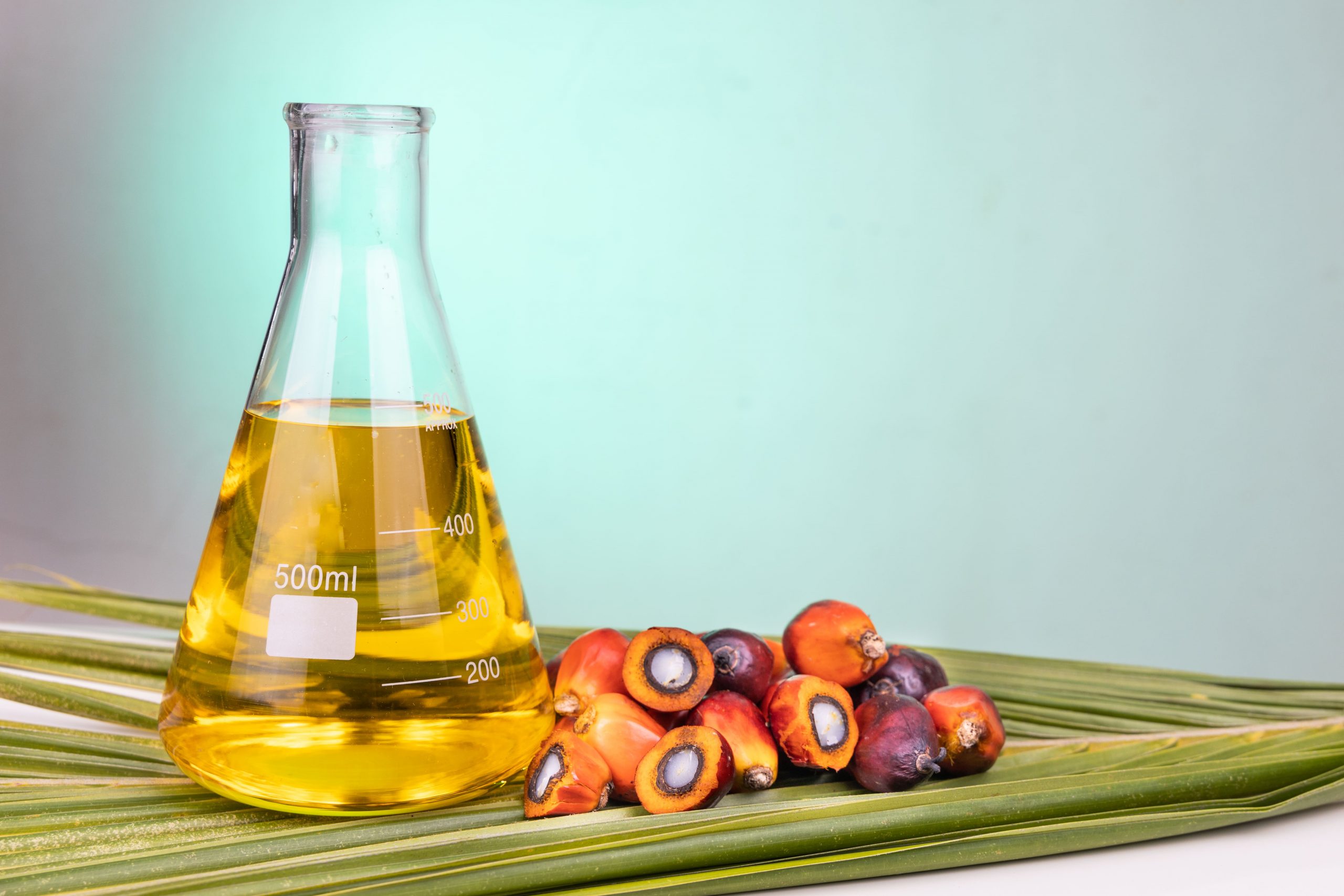 aceite de palma en un recipiente de cristal al lado de unos frutos de palmera
