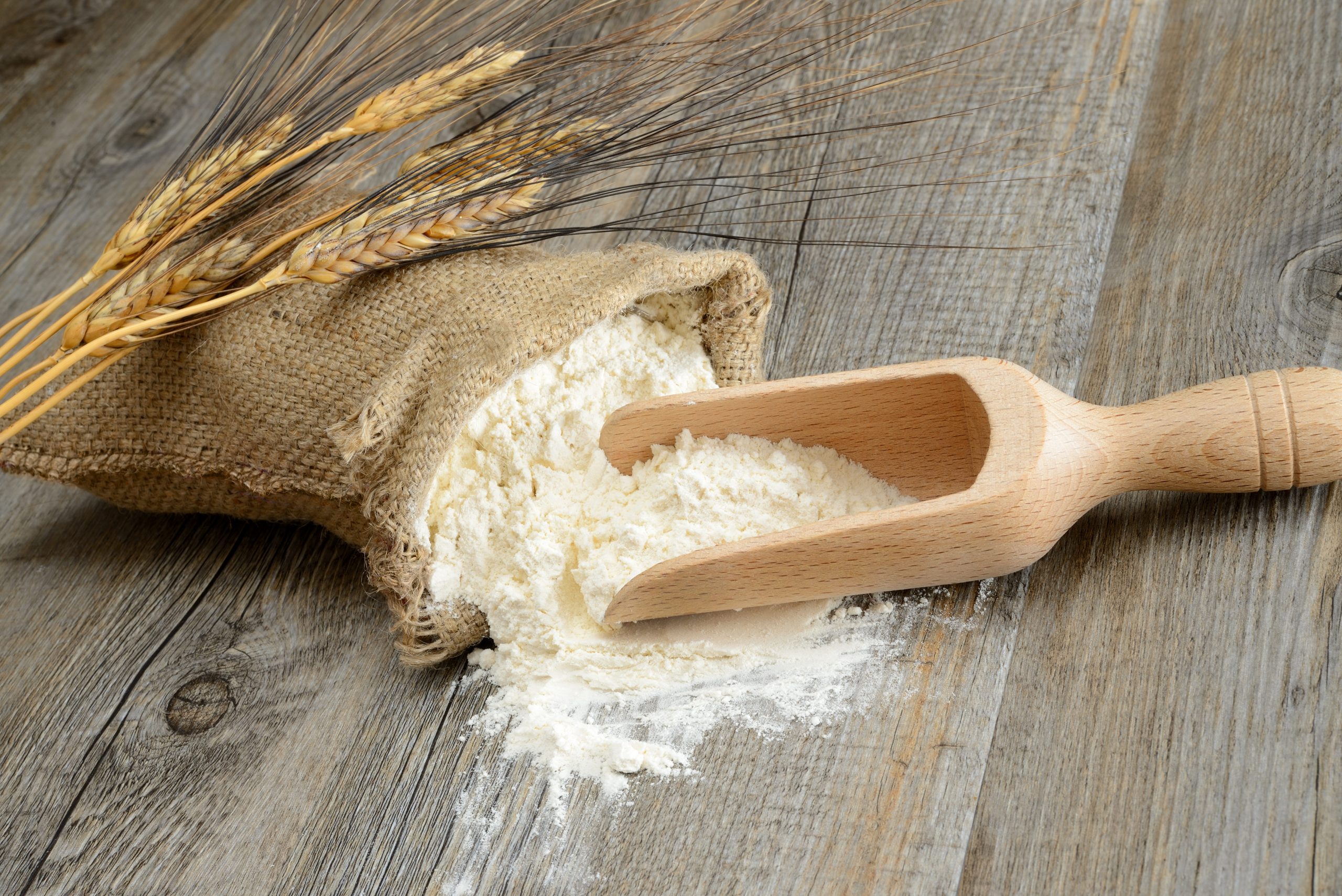 saco de almidón de trigo de color blanco y en polvo tumbado sobre madera y con una cuchara en su interior