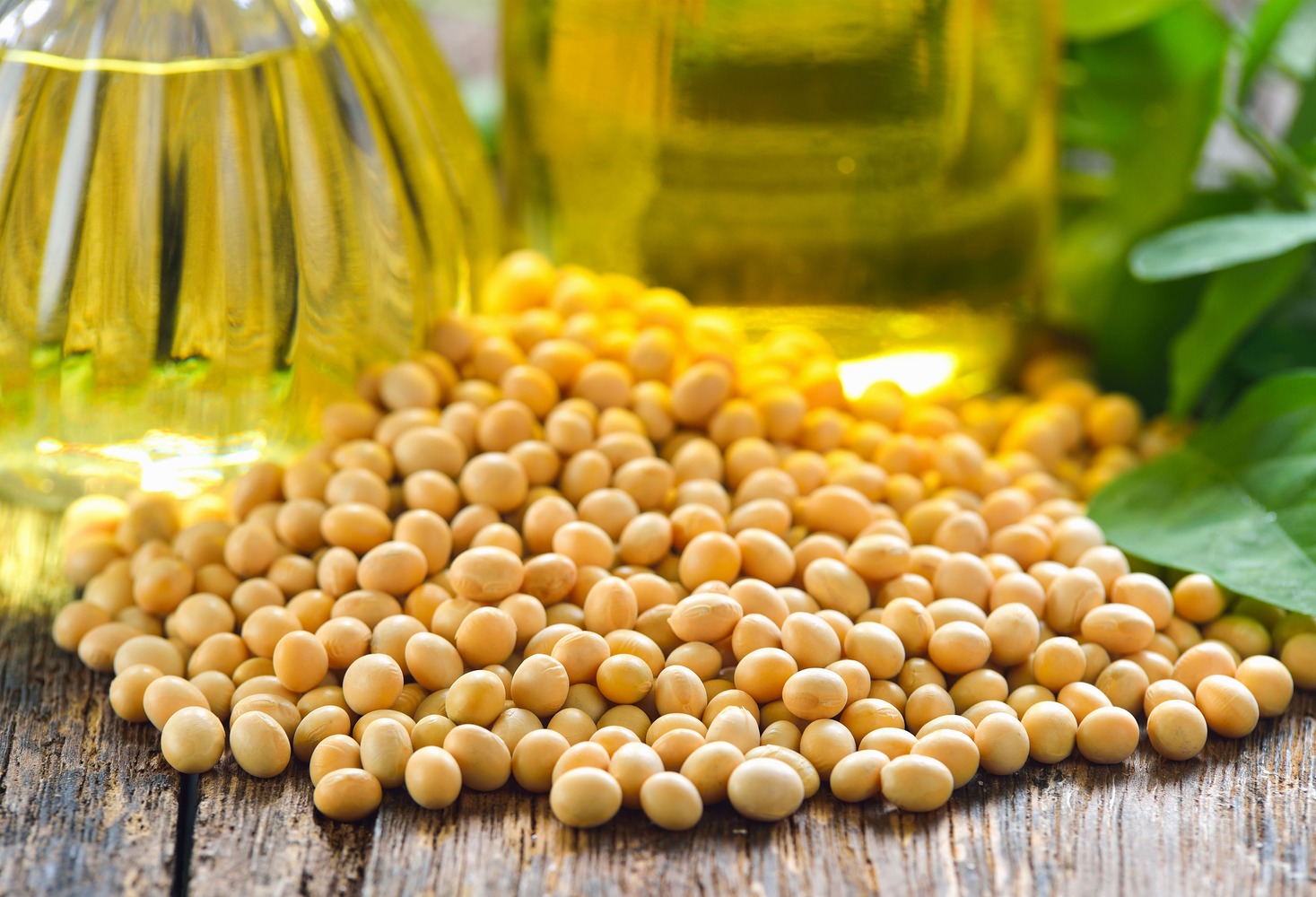 soy-beans-and-oil-2021-09-03-19-08-38-utc-2-1-1.jpg