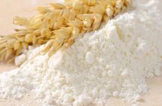 wheat-flour-and-wheat-ears-2021-08-26-17-13-30-utc (2) (1) (1)
